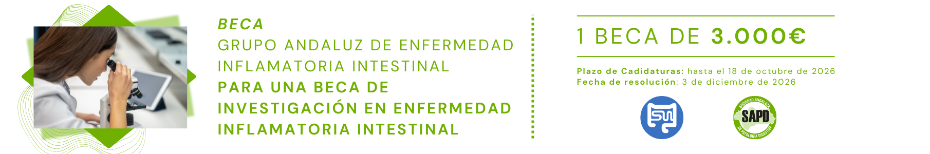 Beca Grupo Andaluz de Enfermedad Inflamatoria Intestinal