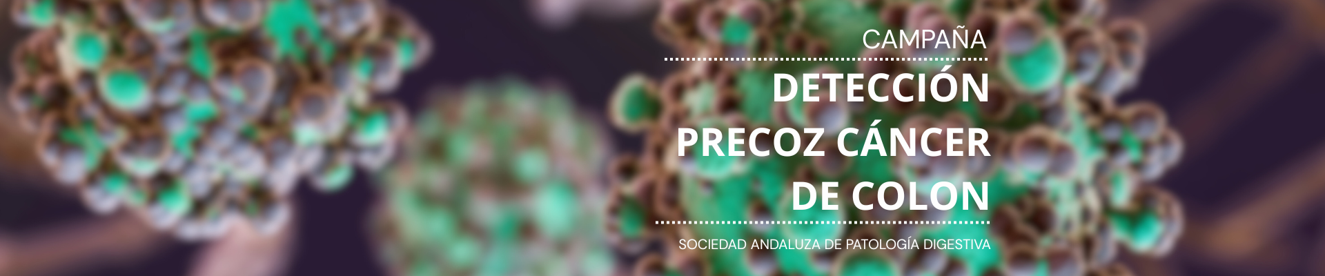 Sociedad Andaluza de Patología Digestiva