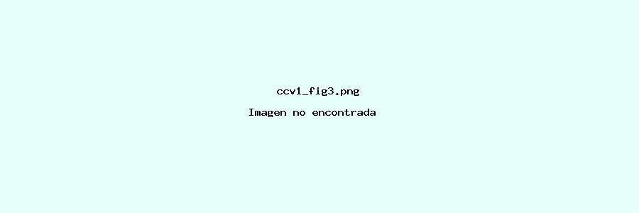 images/ccv1_fig3.png