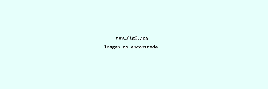 imagenes/rev_fig2.jpg