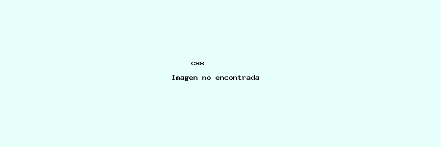 imagenes/rev4_fig1_En.JPG